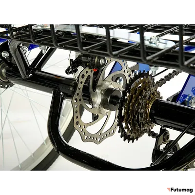 Электровелосипед трицикл РВЗ Чемпион (RVZ-HZ-01) черный