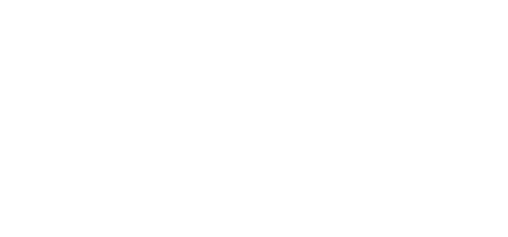 AVE - Международный бренд бытовой химии