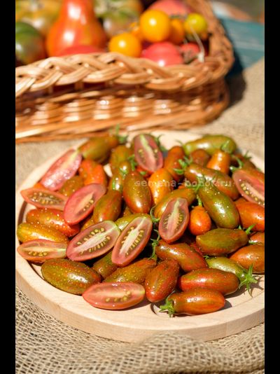 Томат Оливетта полосатая (Olivette Striée), 10 шт