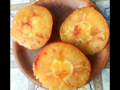 Томат Хейзел мей (Hazel mae)