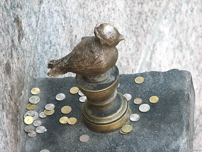 свадебный квест