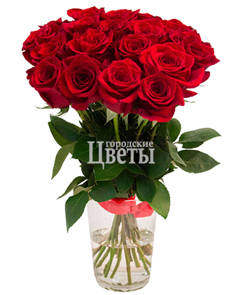 19 красных голландских роз