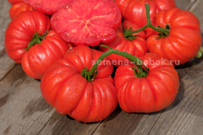 Томат Riccio Di Parma (Кудрявый из Пармы), 10 шт