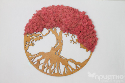 ЖИВАЯ ЭКО-КАРТИНА 1021