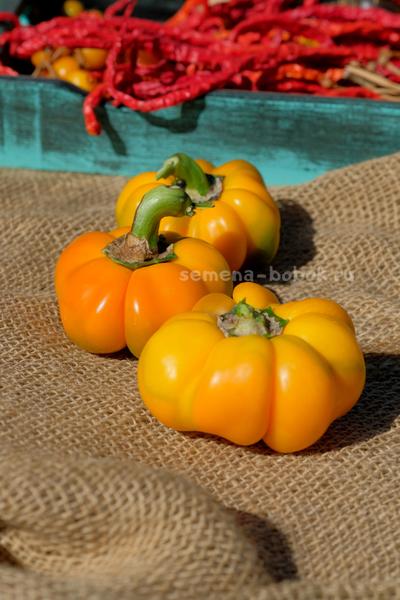 Сладкий перец Тыковка, 10 шт