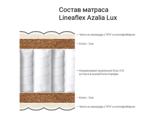 AZALIA LUX (Азалия Люкс) Linea Anatomica 25 см