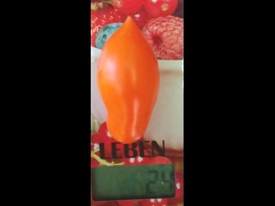 Томат Летнее искушение (Summer Temptation)