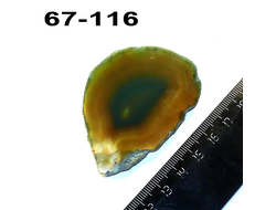 Агат тонированный (срез) зеленый №67-116: 63*44*4мм