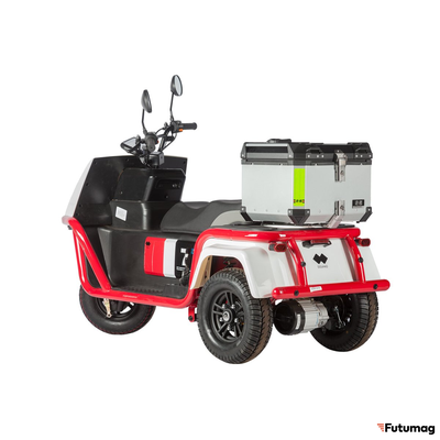 Электротрицикл Wanshida DOUHAO 60V 800Вт черно-бело-красный