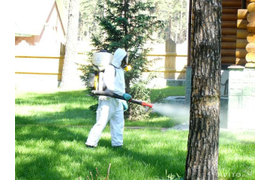 Обработка участка от клещей