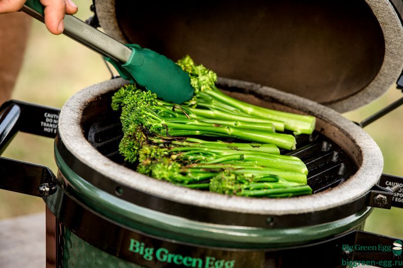 MINI BIG GREEN EGG MINI