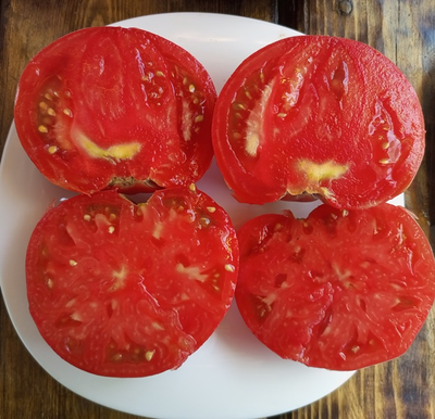 Томат Топтыгин