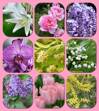 "Весна" набор пробников цветочный