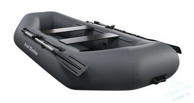 Лодка ПВХ Prof Marine PM240