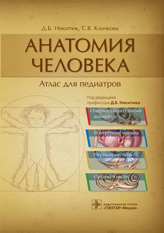 Анатомия человека. Атлас для педиатров. Никитюк Д.Б., Клочкова С.В. &quot;ГЭОТАР-Медиа&quot;. 2019