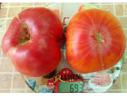 Томат Немецкий полосатый (Striped German)