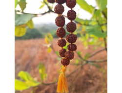 Четки из натуральной мелкой Рудракши цвет желтой