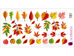 Слайдер-дизайн 787 - Осенние листья, аппликация