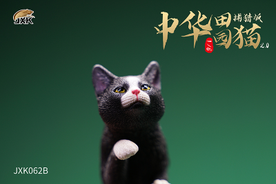 Черный кот с мышкой - Коллекционная ФИГУРКА 1/6 scale Felis catus 2.0 (JXK062B) - JXK