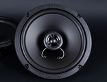 AVATAR XBR-613U