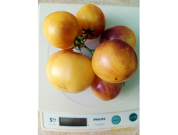 Томат Отличный белый блюз (Великолепный белый блюз, Great white blues)