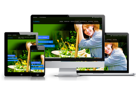 Сайт для СНТ https://нст-парус.рф/