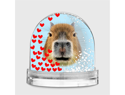 Водяной шар Капибара, Kapibara-san №23