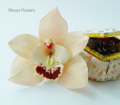 Орхидея Цимбидиум .