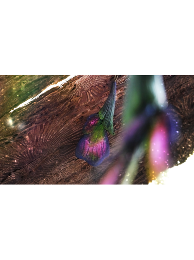 Волшебные серьги "Крылышки Луговых Фей" (необычные серьги в эльфийском стиле)