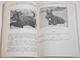 Каталог II городской, IX областной и клубных выставок служебно-спортивных и комнатно-декоративных пород собак. Пермь: Пермское обл. общ. любит. собаководства. 1984.
