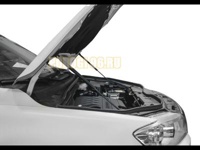 Амортизаторы капота, 2 шт. для Haval H6 (2014-2019)