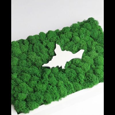 ЖИВАЯ ЭКО-КАРТИНА 1032