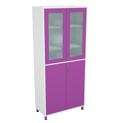 Шкаф медицинский для медикаментов ШММ-2.2.1