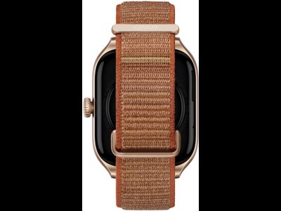 Amazfit GTS 4 A2168 Коричневый