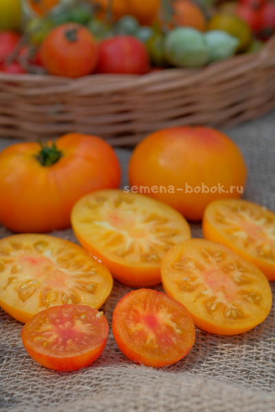 Томат Dwarf Lucky Swirl (Гном Завиток Удачи), 10 шт