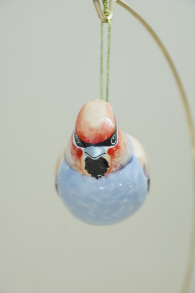 Свиристель (малая)