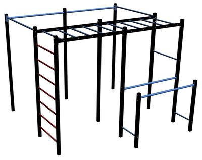 Спортивная площадка Workout W13 + качель -гнездо