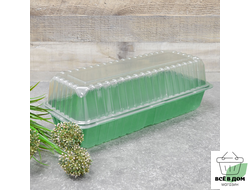 Парник для рассады 2 места, 39*16*6,5см (В2*570, Д2*570)