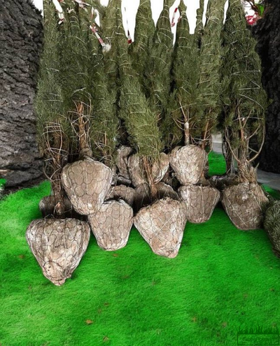 setka-dlya-koma-550-kupit-v-groznom-kachestvo-nizkiye-tseny-opt