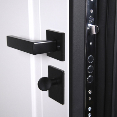 Стальная дверь   Plata (умная электронная дверная ручка с отпечатком пальца Smart lock T888 Черная)