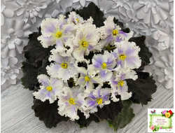 РМ-Золотой Берилл (Н.Скорнякова)