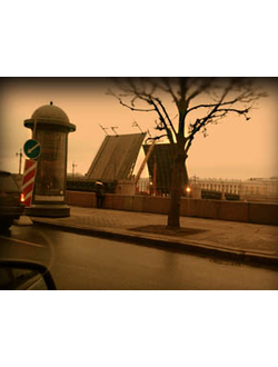 взрослый квест на лимузине Дозор