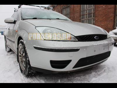 Защита радиатора Ford Focus I рестайлинг 2003-2005 black