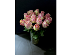Роза Эквадор 60 см. 15 шт