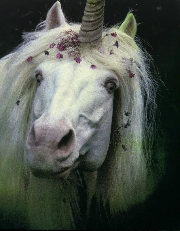 Книга-дневник "The UNICORN OF KILIMANJARO by Robert Vavra - ФОТОРЕПОРТАЖ ИЗ ВОСТОЧНОЙ АФРИКИ".
Фотография от Joseph Saccoman