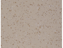 5624 Sesame Safety DLV Flooring гомогенный линолеум для общественных учреждений