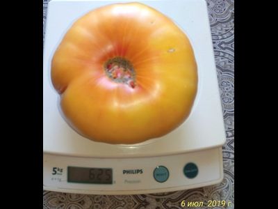 Томат Желтый камень (Yellow Stone)