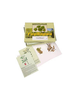 Гербарий "Для начальной школы" (30 видов, с иллюстрациями)