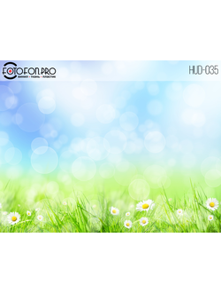 Фотофон виниловый «Ромашки на лугу»