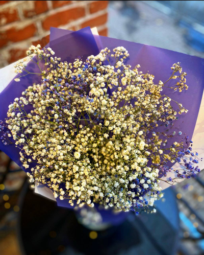 Букет из гипсофилы